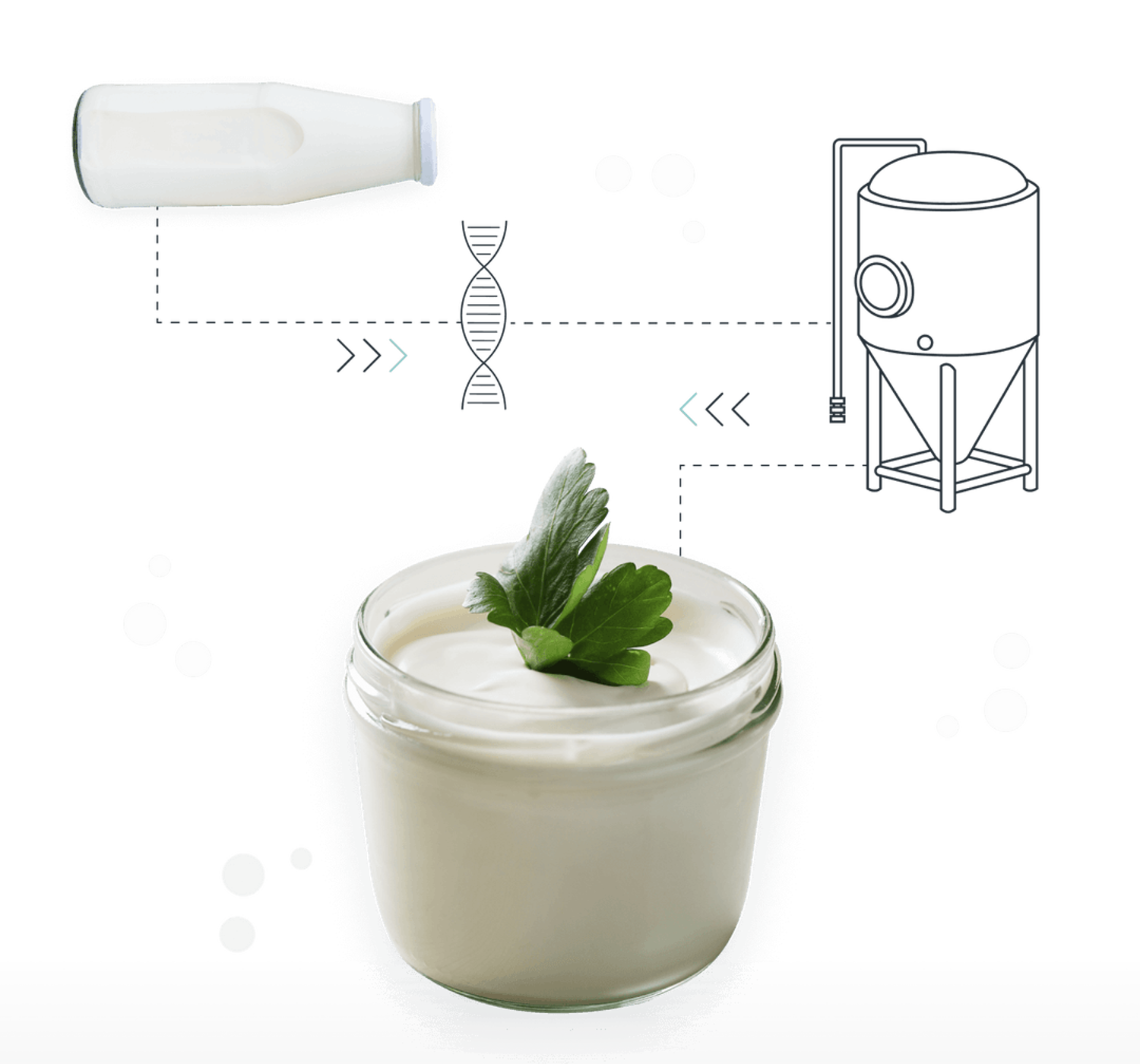 Vivici: Revolutionizing Dairy Protein Production for a Sustainable Future