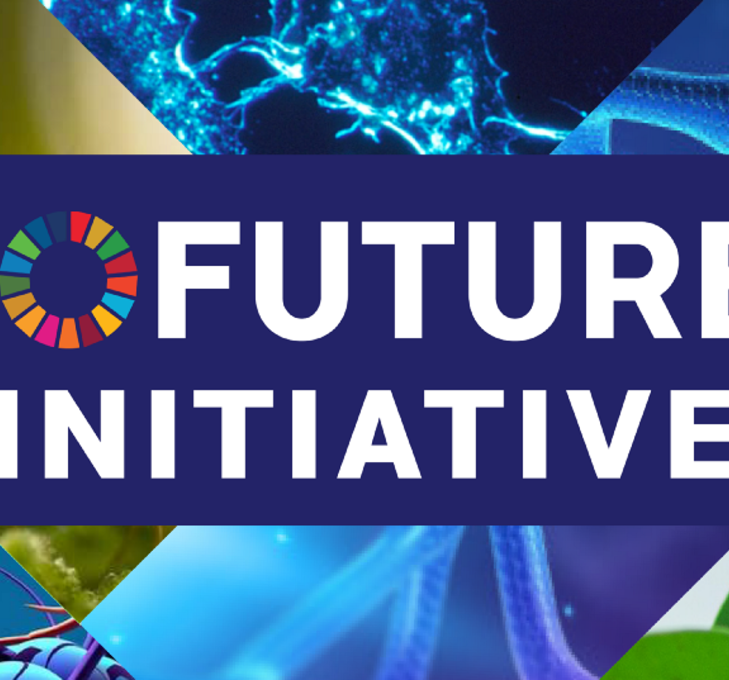 Creating the Infrastructure & Regulation for a Sustainable Biofuture