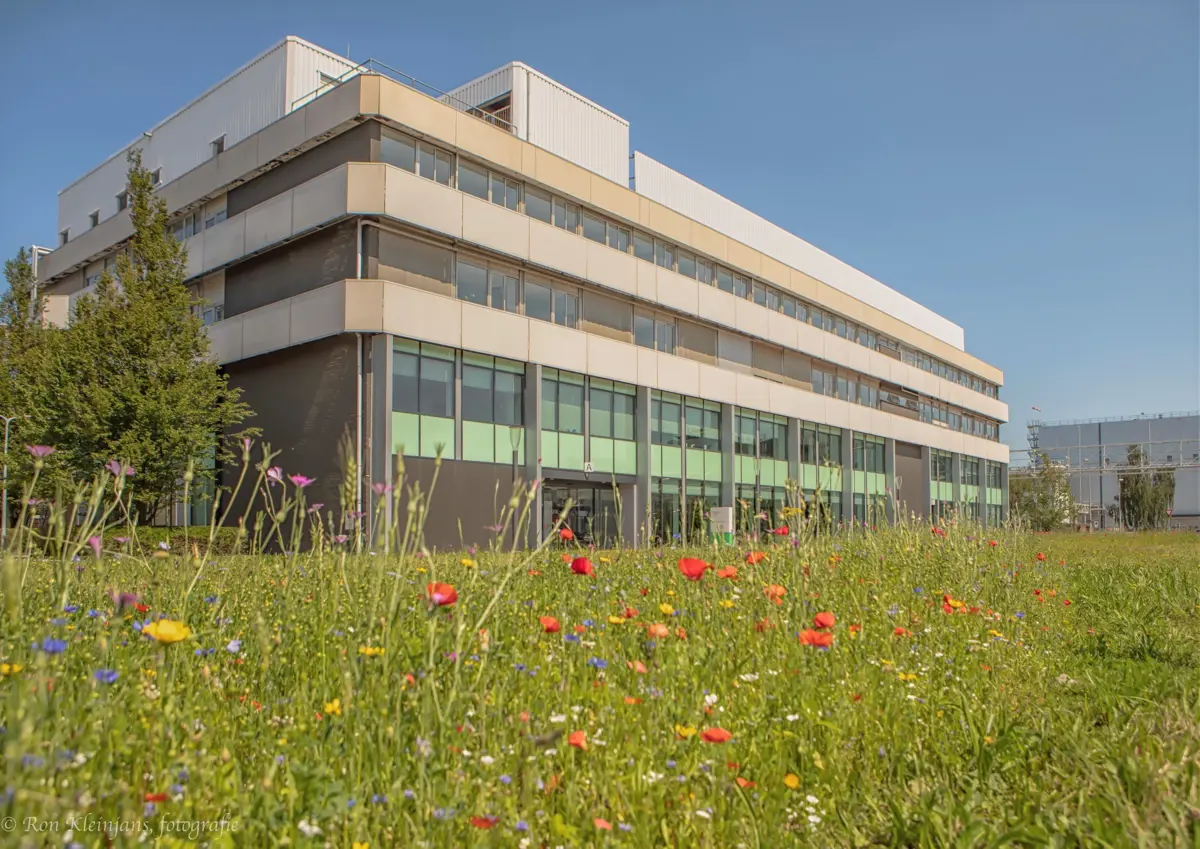 Paving the road ahead for growth