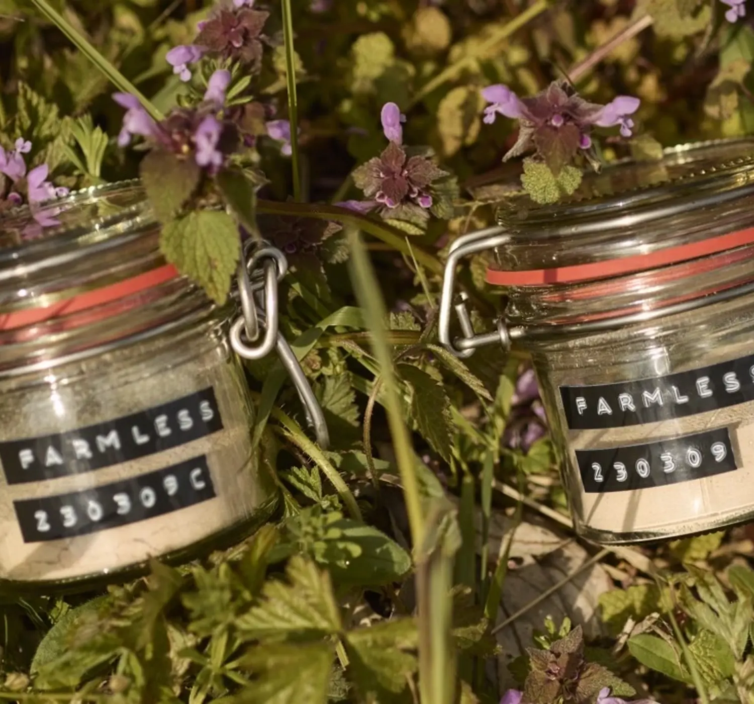 Farmless: Pioneering a Sustainable Protein Revolution