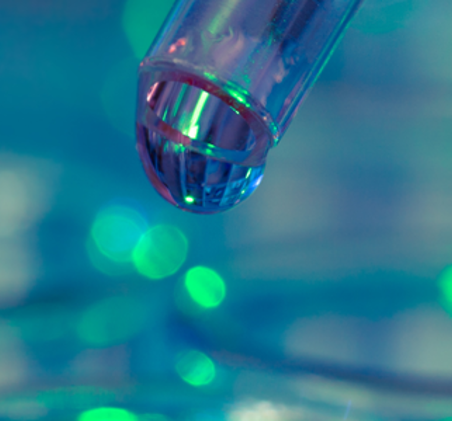 Director Planet B.io joins board of BioTech Delft