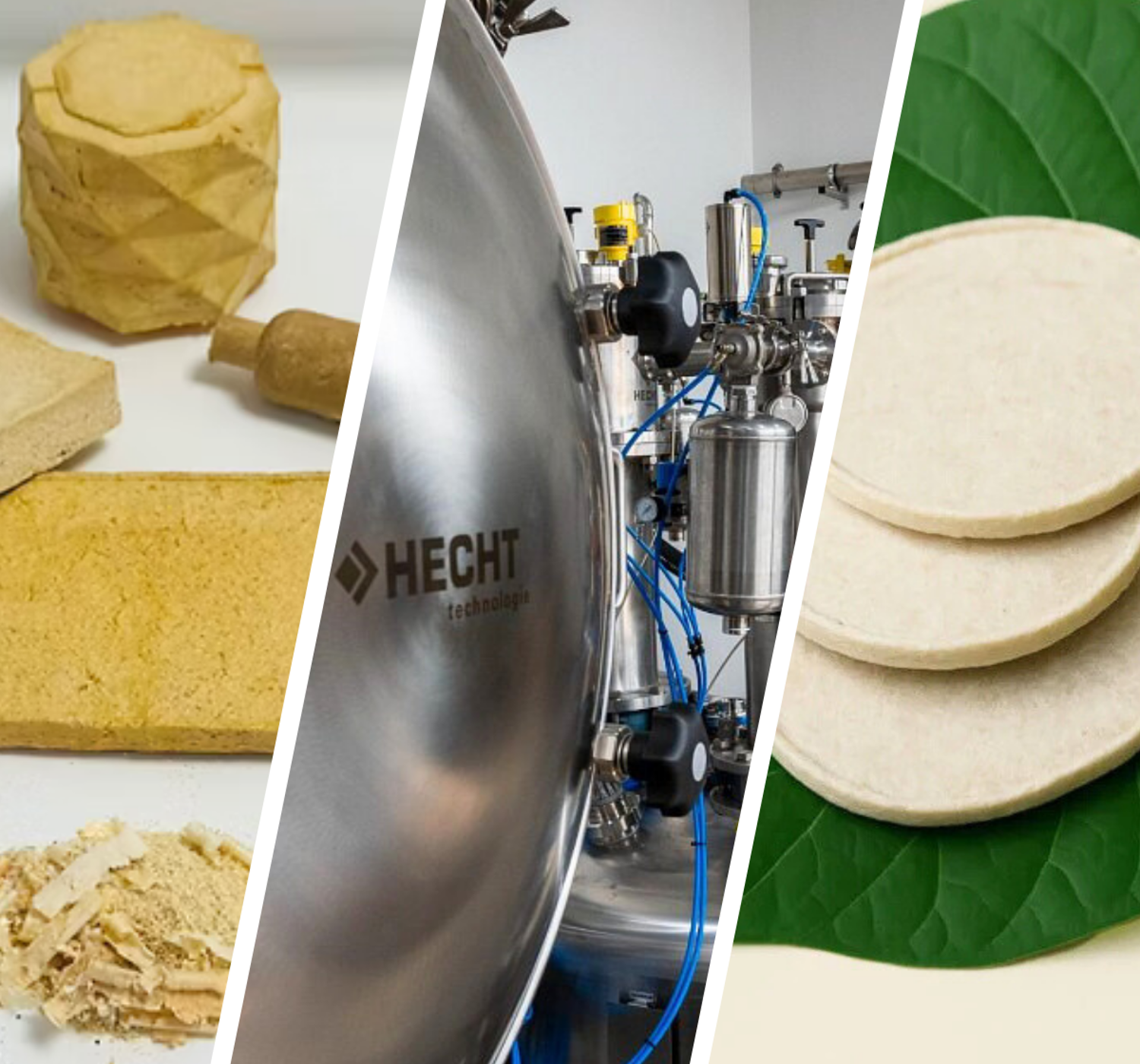 Meet the newest Planet B.io residents