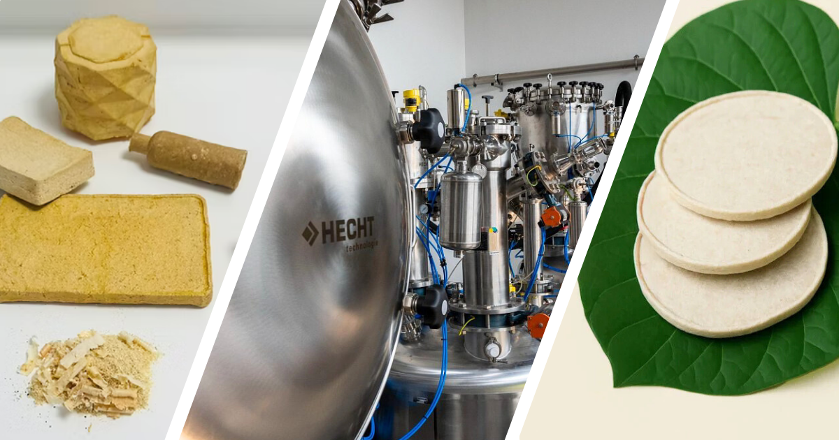 Meet the newest Planet B.io residents