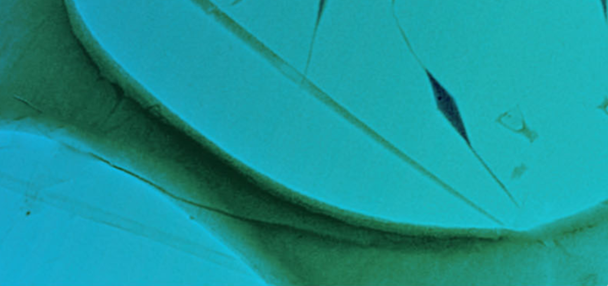 Breakthrough technology from VitroTEM | From photo to film using graphene